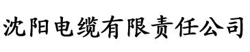 2021av无线网在线电缆厂logo